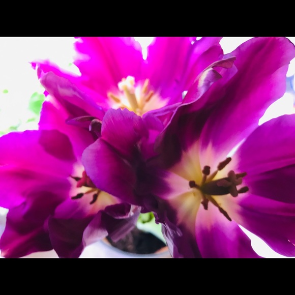 Purple Satin Clutch with Gold Metal Edging NWOT Item #1836 - Picture 8 of 8